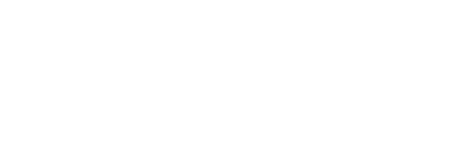 Logo VisiumFort