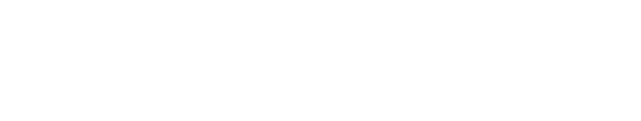 Logo InsuFlex