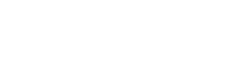 Logo LipoGovy